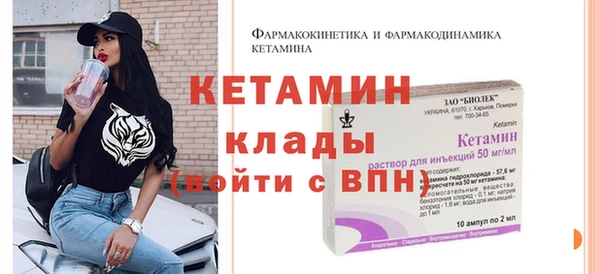 стаф Новозыбков
