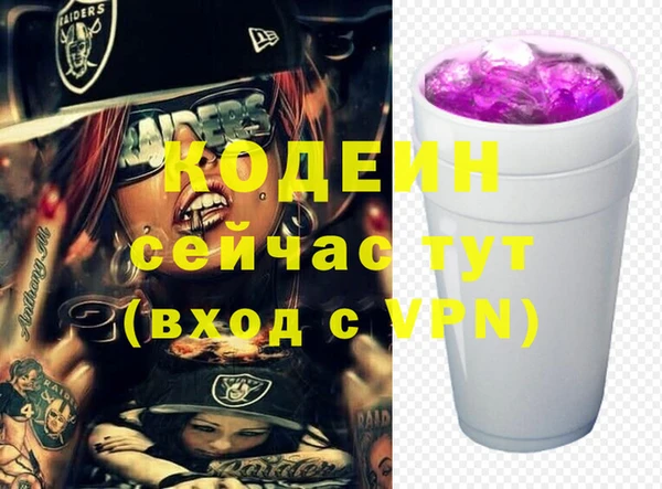 стаф Новозыбков
