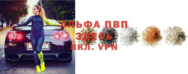 стаф Новозыбков