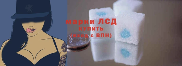 стаф Новозыбков