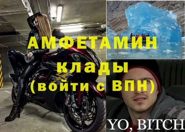 стаф Новозыбков
