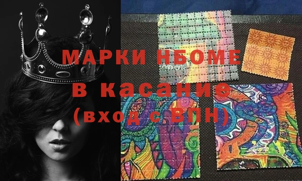 стаф Новозыбков