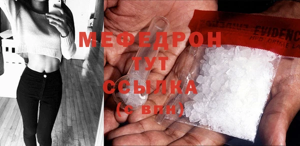 стаф Новозыбков