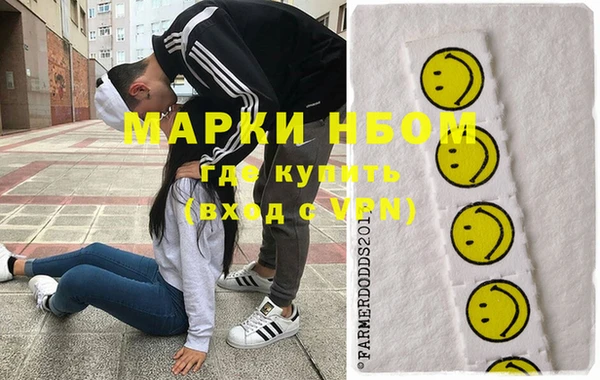 стаф Новозыбков