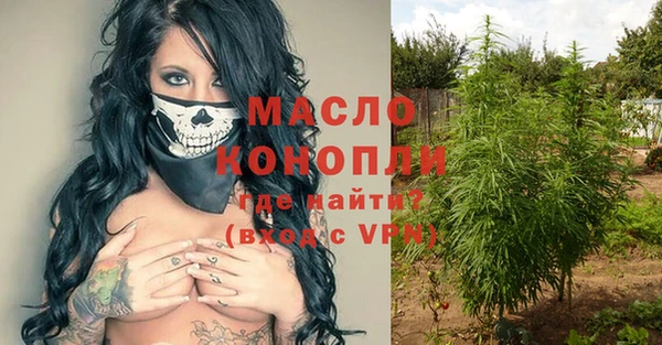 стаф Новозыбков
