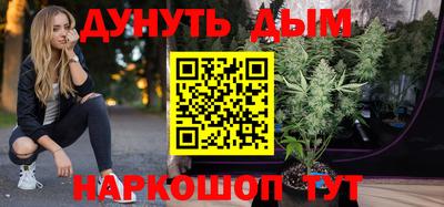 сатива Будённовск