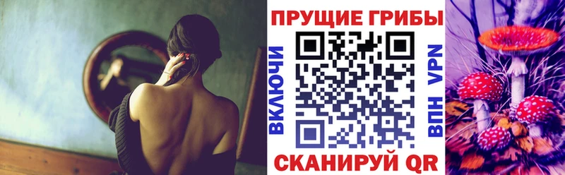 Псилоцибиновые грибы GOLDEN TEACHER  сколько стоит  Кулебаки 