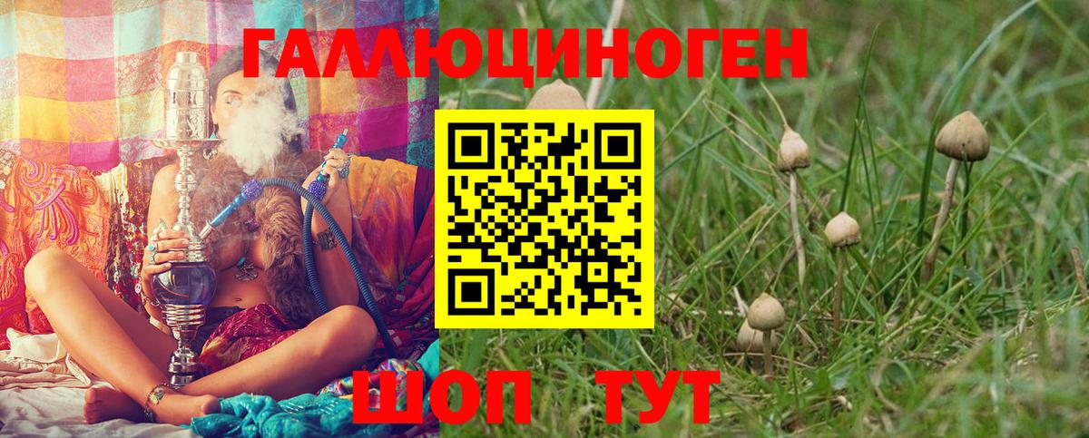 Галлюциногенные грибы GOLDEN TEACHER Кулебаки