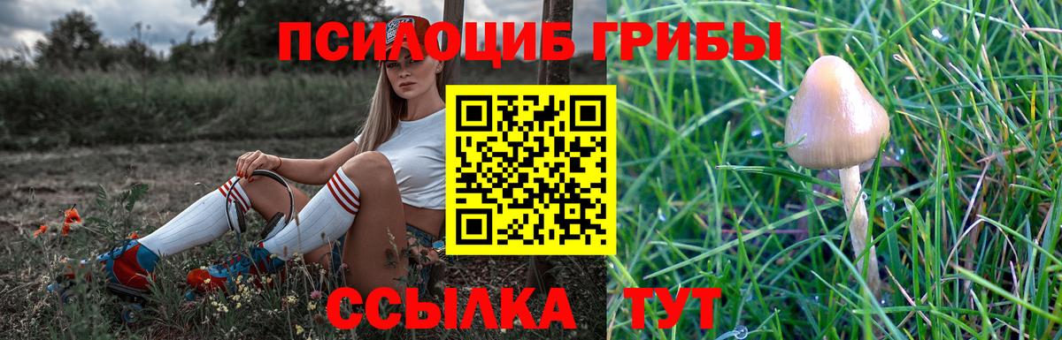 Галлюциногенные грибы GOLDEN TEACHER  дарнет шоп  Кулебаки 